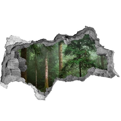 Dziura 3d foto tapeta naklejka Białe konie plaża