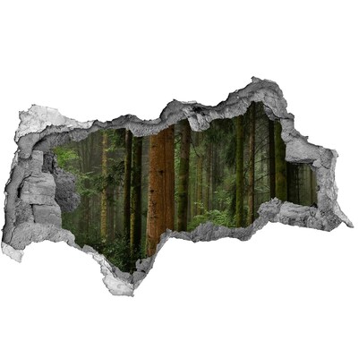 Fototapeta dziura na ścianę Czerwony rower