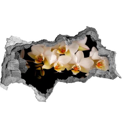 naklejka fototapeta 3D widok Mgła w lesie