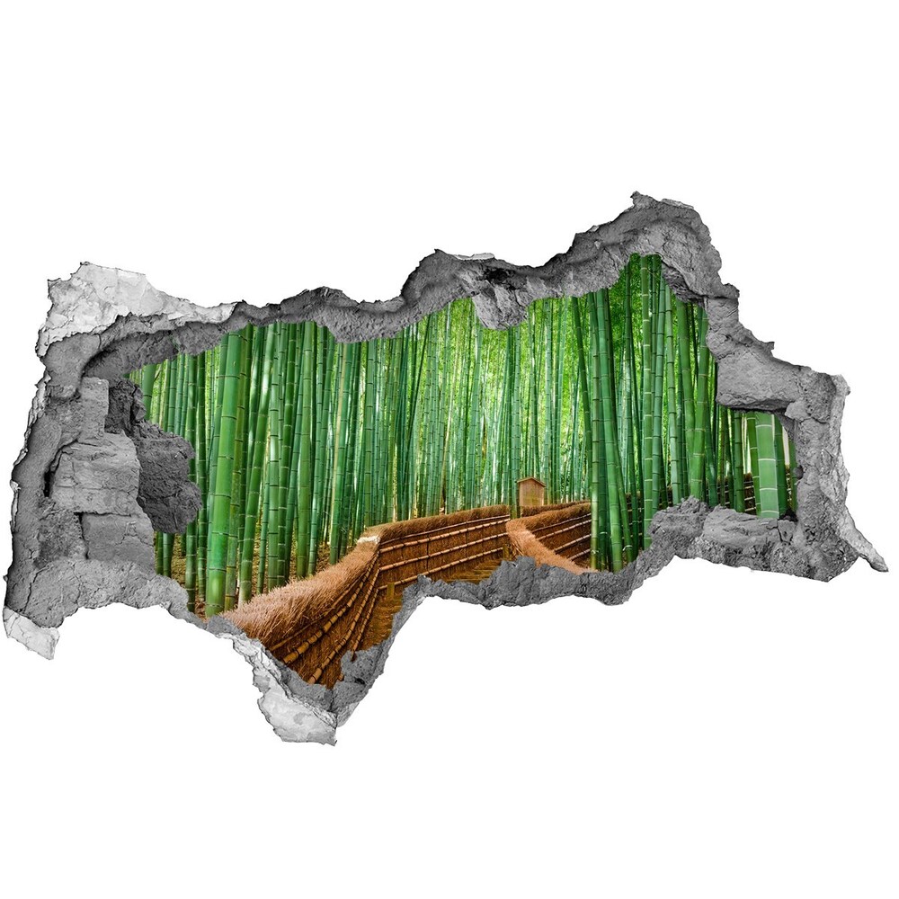 Dziura 3d fototapeta na ścianę naklejka Tygrys