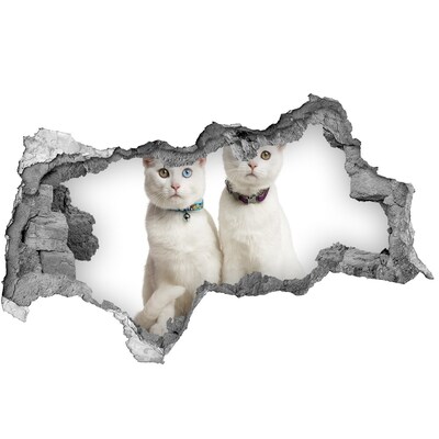naklejka fototapeta 3D na ścianę Wzgórza Szkocji
