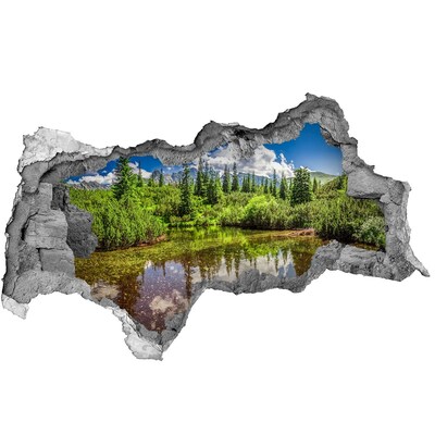 Naklejka 3D dziura na ścianę Róże na drewnie
