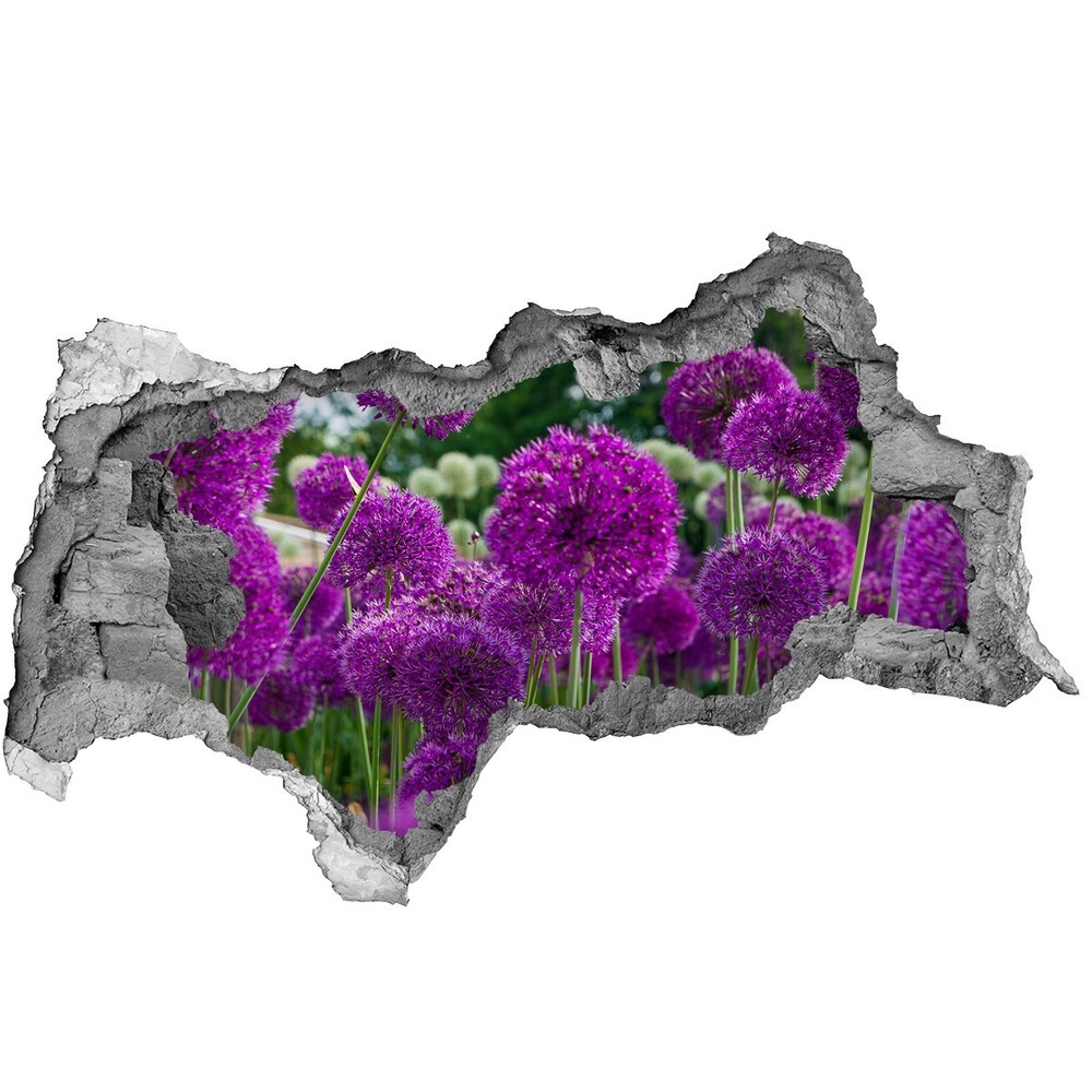 Naklejka 3D dziura samoprzylepna Kwiaty czosnku