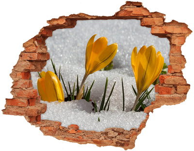 Samoprzylepna naklejka fototapeta Krokusy w śniegu