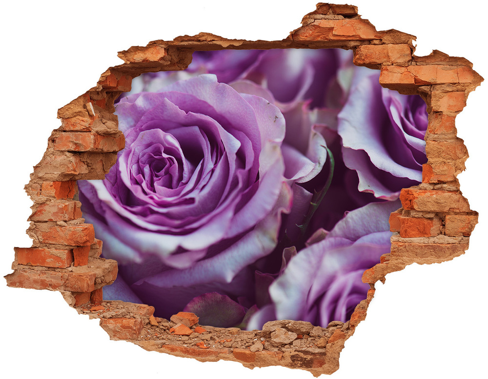 Fototapeta naklejka na ścianę Fioletowe róże