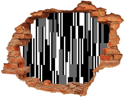 Fototapeta dziura na ścianę Czarno-białe linie