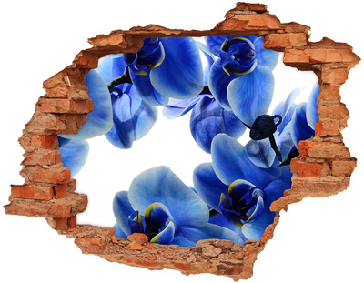Fototapeta naklejka na ścianę Niebieska orchidea