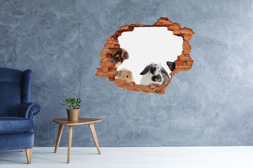 Dziura 3d fototapeta naklejka Zwierzęta domowe