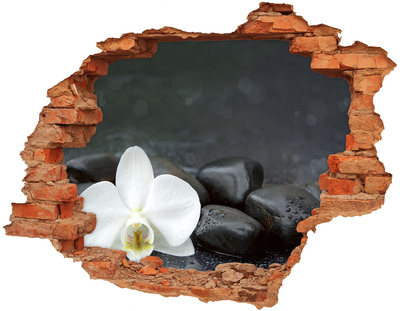 Samoprzylepna naklejka fototapeta Orchidea
