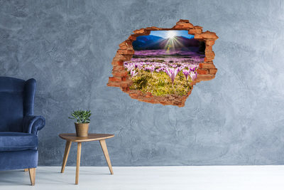 Dziura 3d w ścianie naklejka Krokusy na polanie