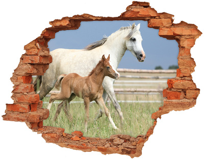 Dziura 3d fototapeta na ścianę Klacz ze źrebięciem