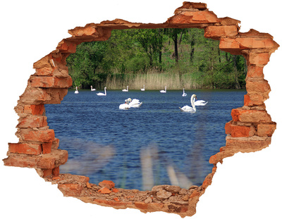 Dziura 3d fototapeta naklejka Białe łabędzie