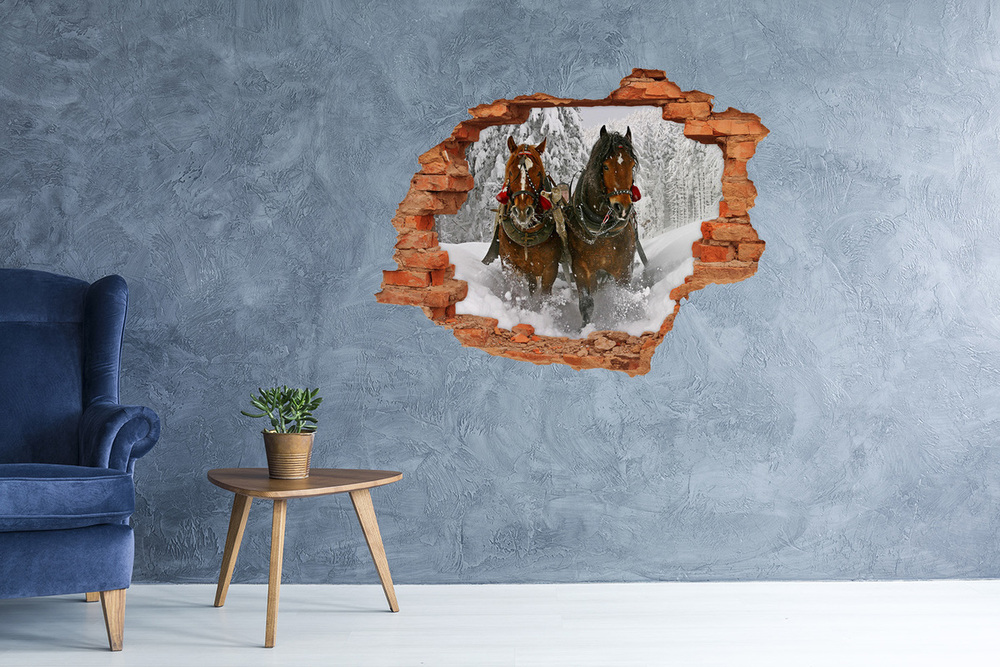 Dziura 3d fototapeta na ścianę naklejka Kulig