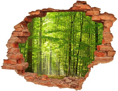 Dziura 3d w ścianie na ścianę Liściasty las