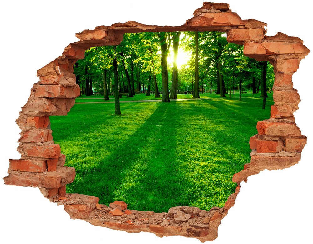 Dziura 3d w ścianie naklejka Trawa w parku