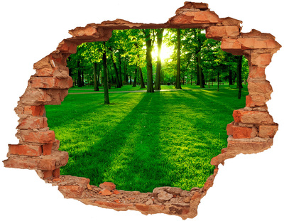 Dziura 3d w ścianie naklejka Trawa w parku