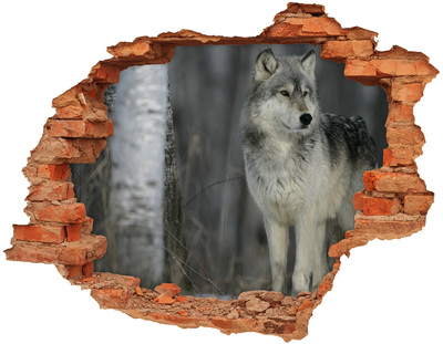 Dziura 3d fototapeta na ścianę Szary wilk