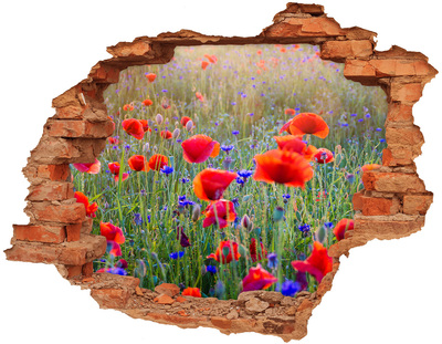 Samoprzylepna dziura na ścianę Polne kwiaty
