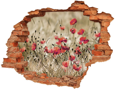 Samoprzylepna dziura naklejka beton Maki