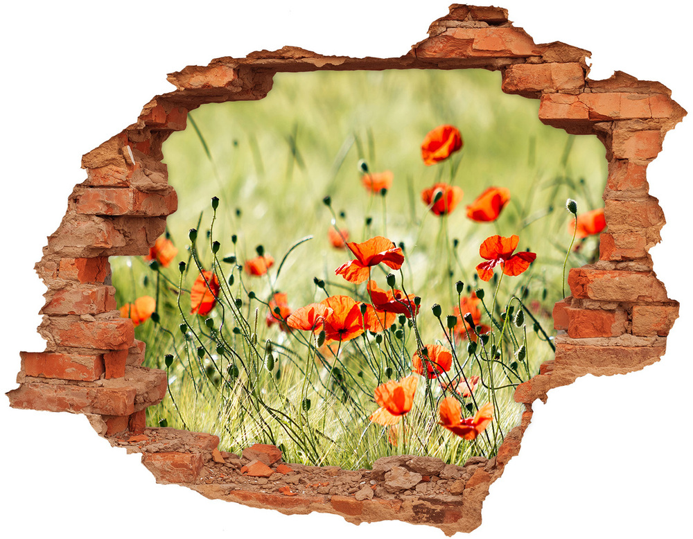 Samoprzylepna dziura naklejka beton Maki