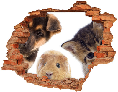 Dziura 3d fototapeta naklejka Zwierzęta domowe