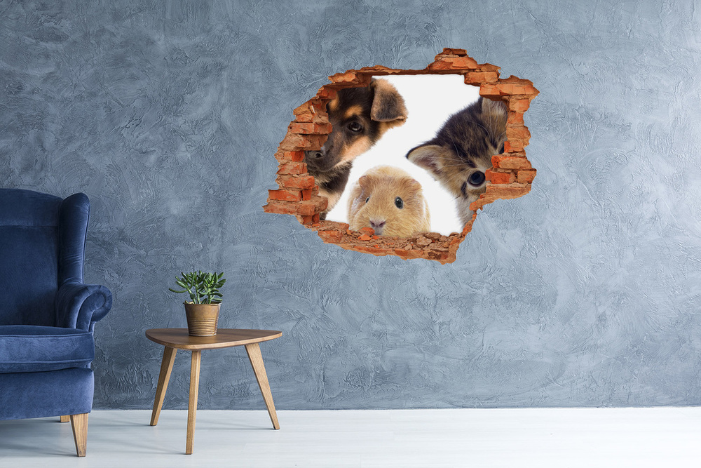 Dziura 3d fototapeta naklejka Zwierzęta domowe