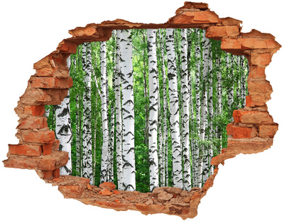 Samoprzylepna dziura naklejka beton Brzozy
