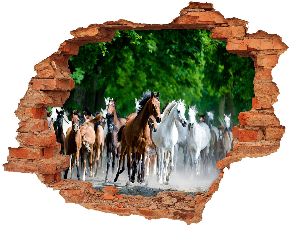 Dziura 3d fototapeta naklejka Konie w galopie