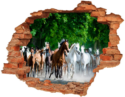 Dziura 3d fototapeta naklejka Konie w galopie