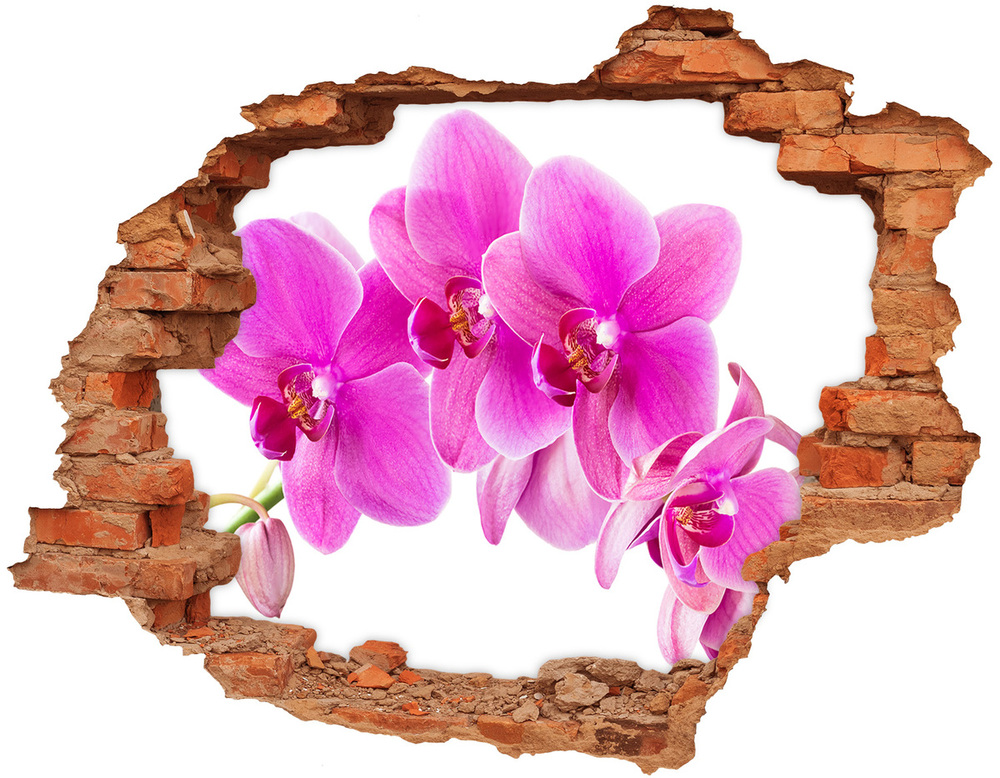 Samoprzylepna dziura naklejka Różowa orchidea