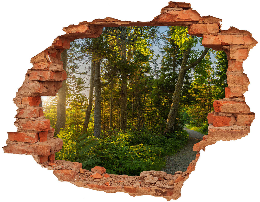 Samoprzylepna dziura naklejka beton Las