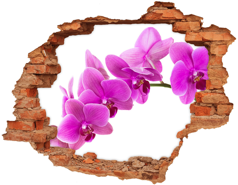 Samoprzylepna dziura naklejka Różowa orchidea