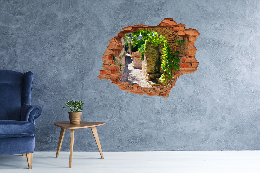 Fototapeta dziura na ścianę 3d Urokliwa uliczka