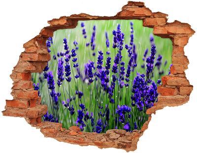 Samoprzylepna dziura na ścianę naklejka Lawenda