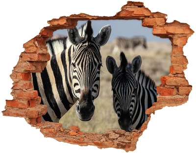 Dziura 3d fototapeta naklejka Dwie zebry