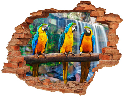 Dziura 3d fototapeta naklejka Papugi na gałęzi