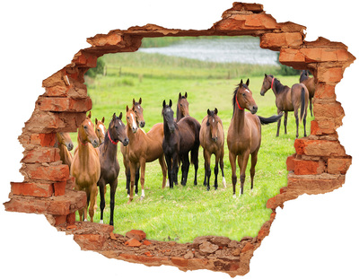 Dziura 3d fototapeta naklejka Stado koni na łące