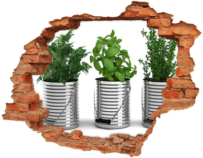 Samoprzylepna naklejka Aromatyczne rośliny