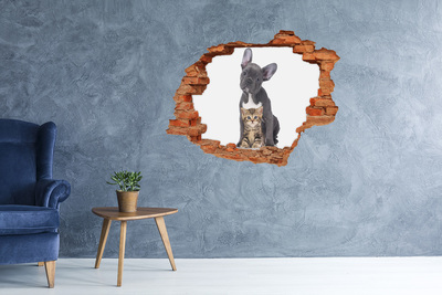 Dziura 3d fototapeta na ścianę Pies i kot
