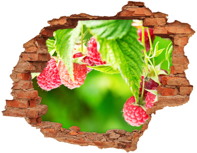 Samoprzylepna naklejka na ścianę Maliny w ogrodzie