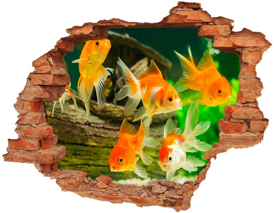 Dziura 3d foto tapeta naklejka Złote rybki