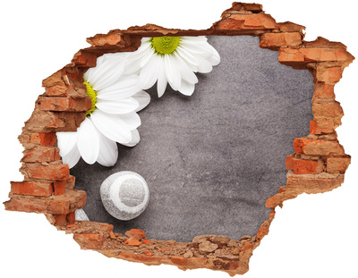 Samoprzylepna dziura naklejka beton Gerbera