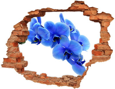 Samoprzylepna dziura naklejka Niebieska orchidea