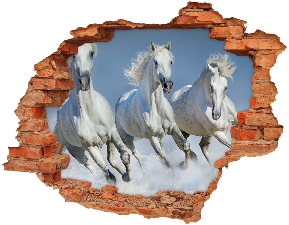 Fototapeta dziura na ścianę Burbon w szklance