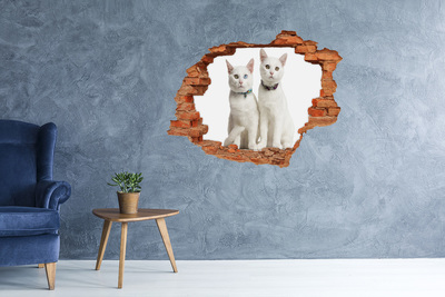 naklejka fototapeta 3D na ścianę Wzgórza Szkocji