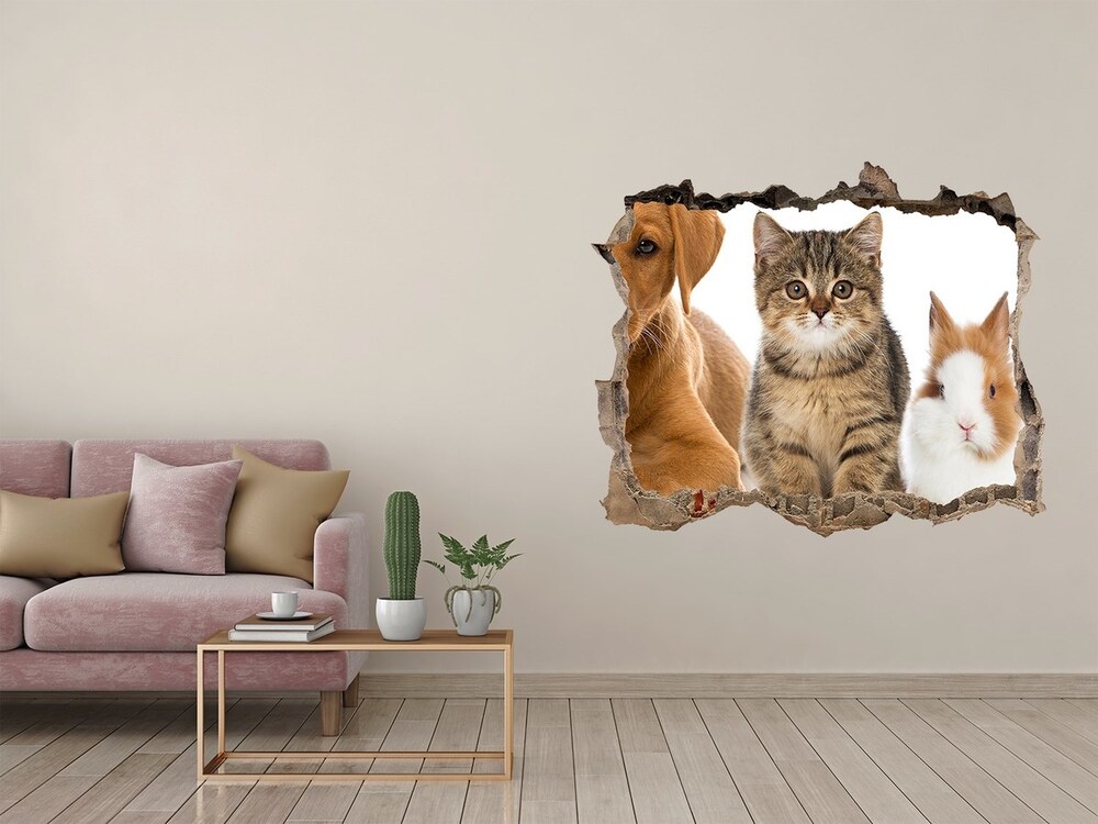 Dziura 3d fototapeta na ścianę Pies i kot