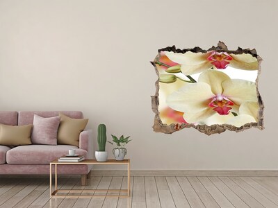 Fototapeta naklejka na ścianę Orchidea
