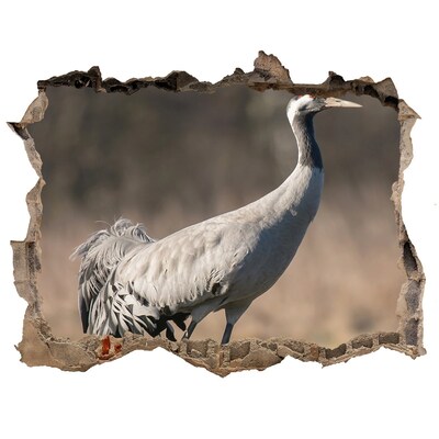 Dziura 3d fototapeta naklejka Czapla
