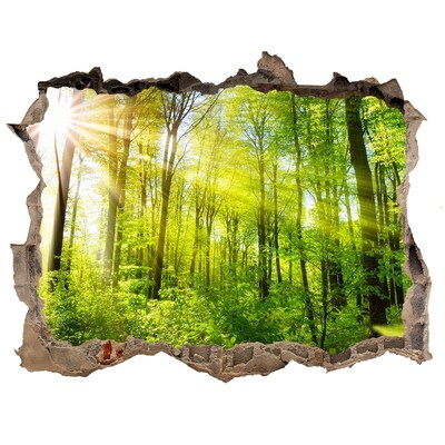 Samoprzylepna naklejka beton Las w słońcu