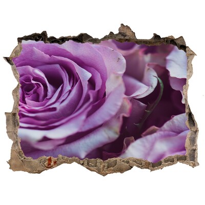 Fototapeta naklejka na ścianę Fioletowe róże